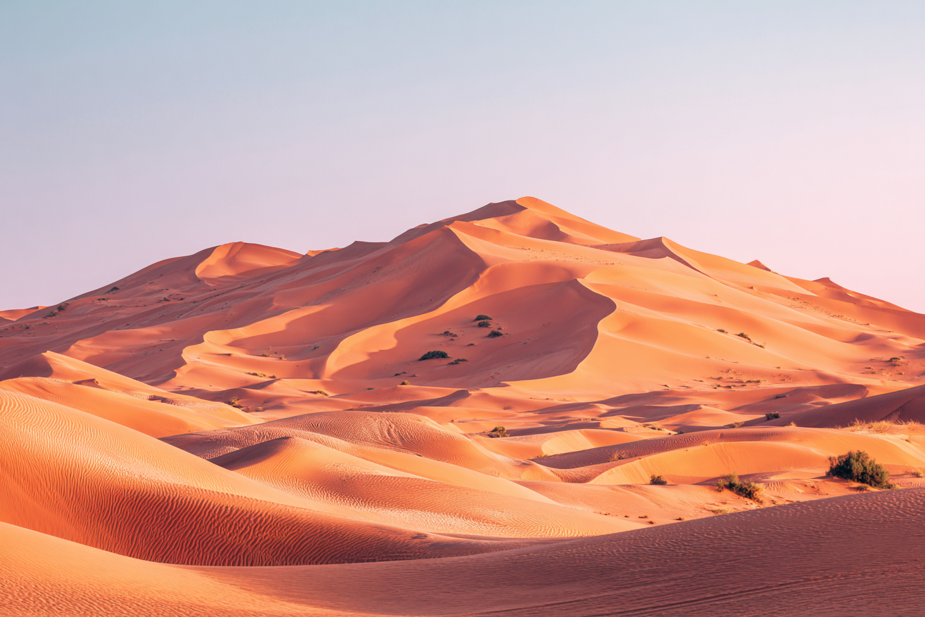 Wüsten Sanddünenlandschaft Bei Sonnenaufgang Oder Sonnenuntergang | Wuesten und Savanne | Landschaften