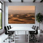 Deserts Wide desert landscape with sand dunes sunlight