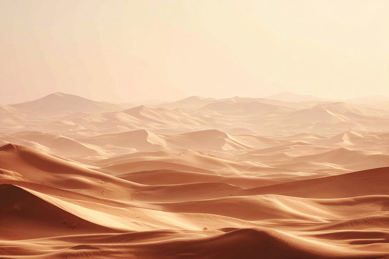 Wüsten Wüstenlandschaft Sanddünen Weiches Licht | Wuesten und Savanne | Landschaften