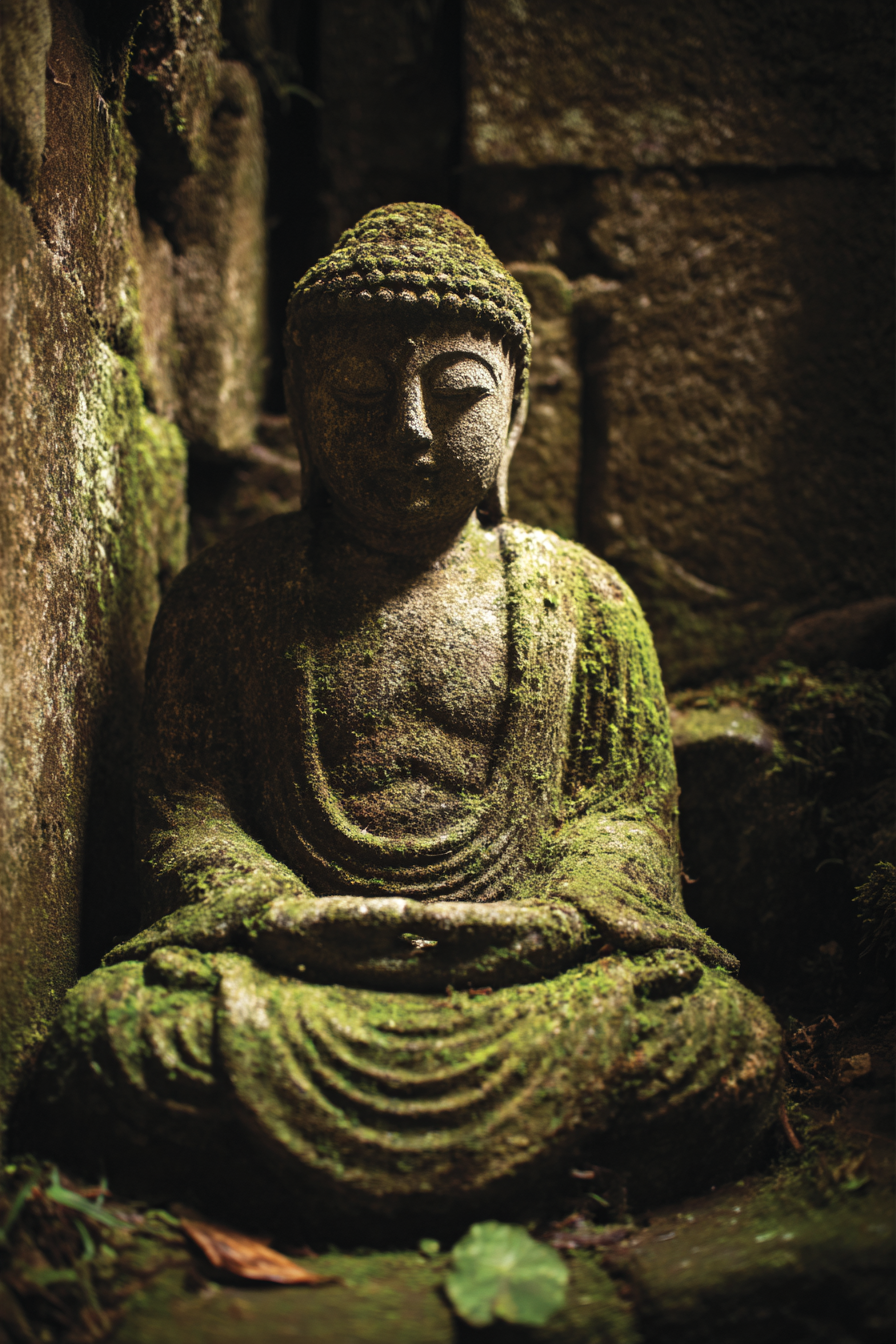 Buddha Statü Moos Bedeckt Steingebäude Ruhe Und Natur | Spirituelle Motive und Buddha | Menschen und Emotionen