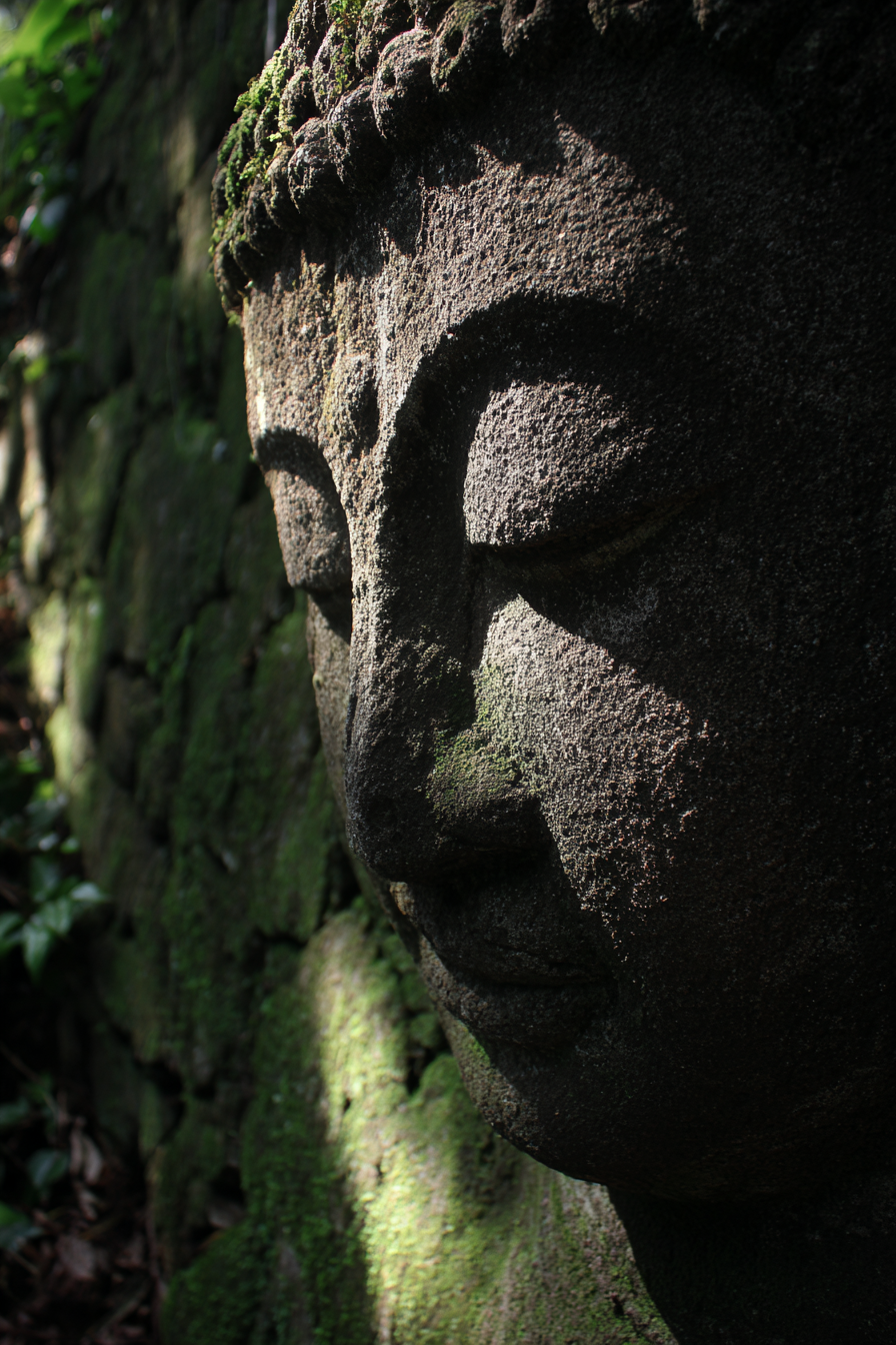 Stein Statü Buddhismus Moos Und Texturierten Hintergrund | Spirituelle Motive und Buddha | Menschen und Emotionen