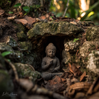 Buddhastatü Im Felsen Umgeben Von Blättern Heiteres Licht Goldene Stunde | Spirituelle Motive und Buddha | Menschen und Emotionen