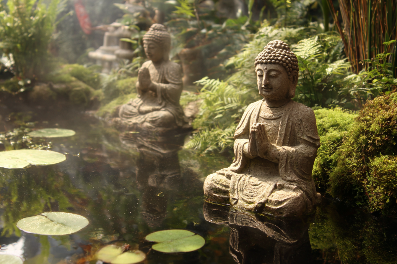 Ruhiger Buddhistische Statün Am Teich Meditationsraum | Spirituelle Motive und Buddha | Menschen und Emotionen
