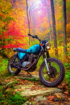Motorrad Im Herbstlaub Strasse Mit Lebendigen Farben | Fahrraeder und Motorraeder | Mobilitaet und Technik