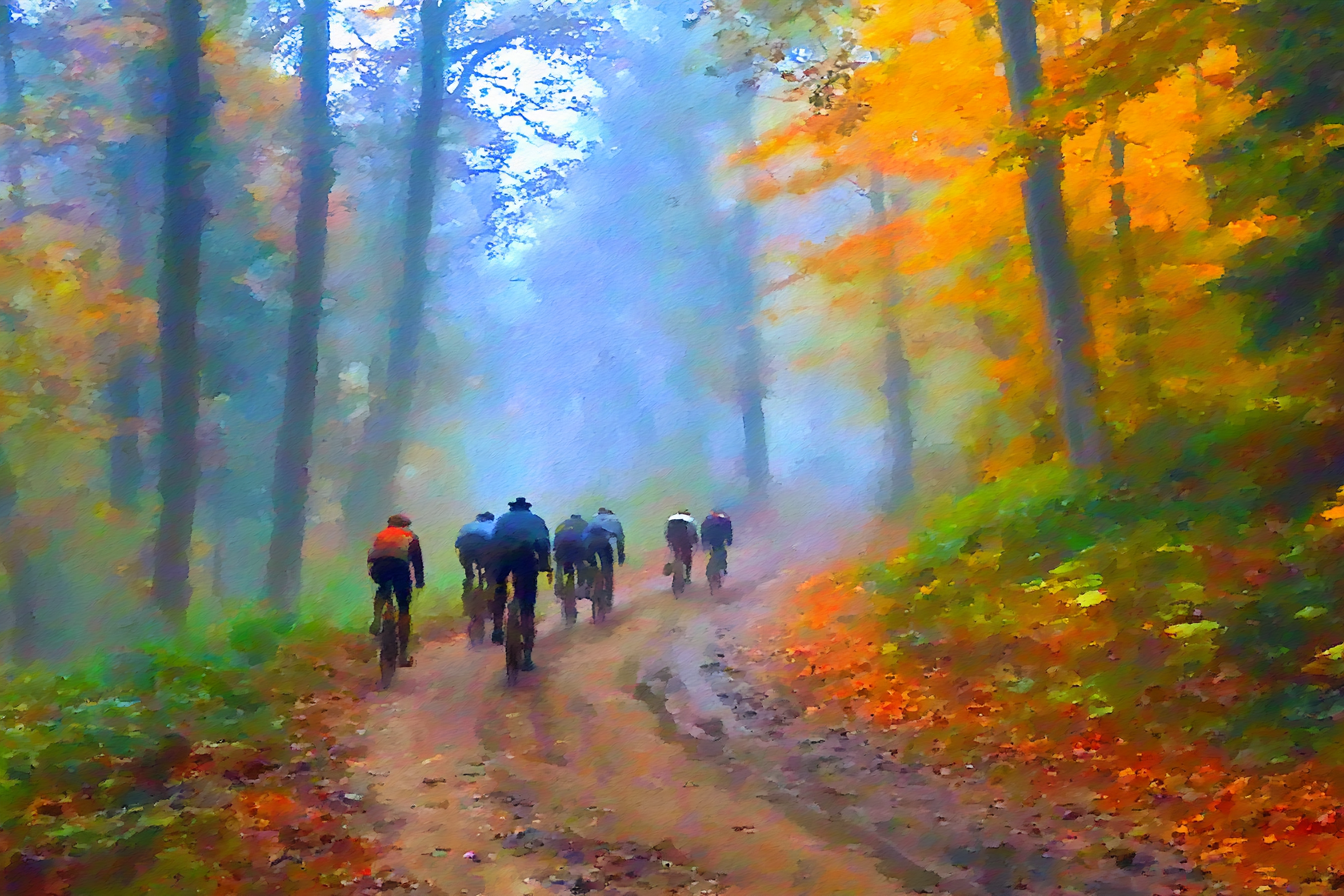 Nebeliger Waldweg Radfahrer Im Herbst | Fahrraeder und Motorraeder | Mobilitaet und Technik