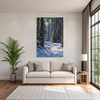Winterwald Mit Sonnendurchflutetem Schneebett