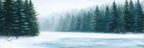 Winterlandschaft Mit Hohen Nadelbäumen Im Nebel | Eis und Schnee | Natur