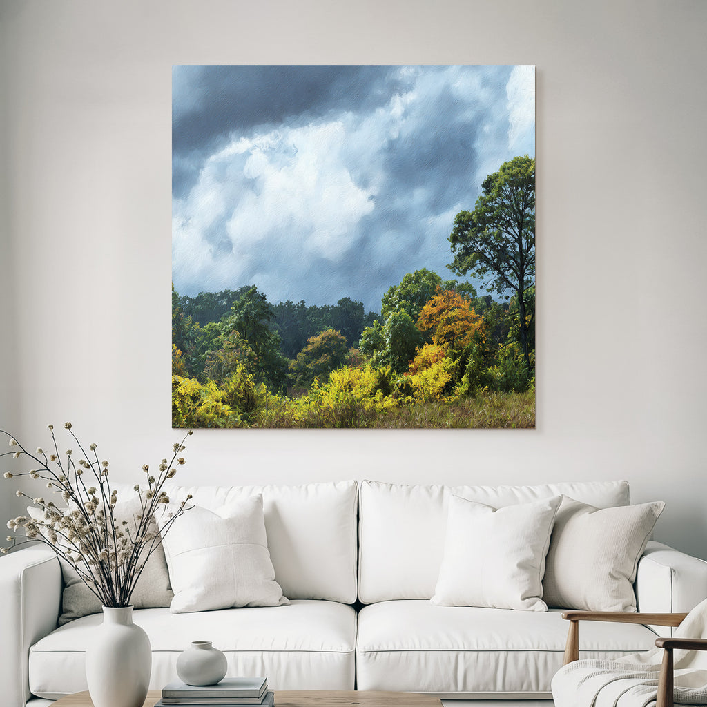 Herbstlandschaft Mit Bunten Bäumen Und Dramatischem Himmel