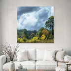 Herbstlandschaft Mit Bunten Bäumen Und Dramatischem Himmel