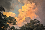 Dramatischer Himmel Bei Sonnenuntergang Mit Baumsilhoütten | Himmel und Wolken | Natur