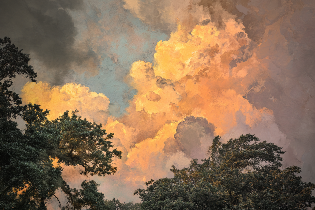 Dramatischer Himmel Bei Sonnenuntergang Mit Baumsilhoütten | Himmel und Wolken | Natur