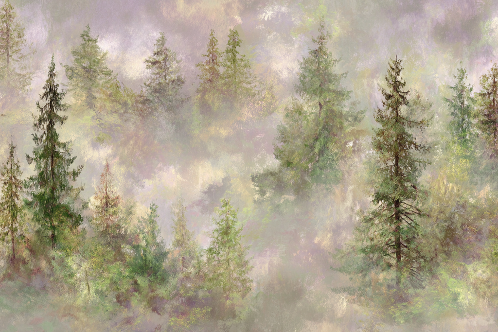 Mystische Waldlandschaft Im Nebel | Himmel und Wolken | Natur