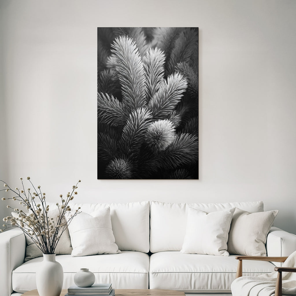 Black and white photo of pine branches