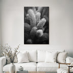 Black and white photo of pine branches