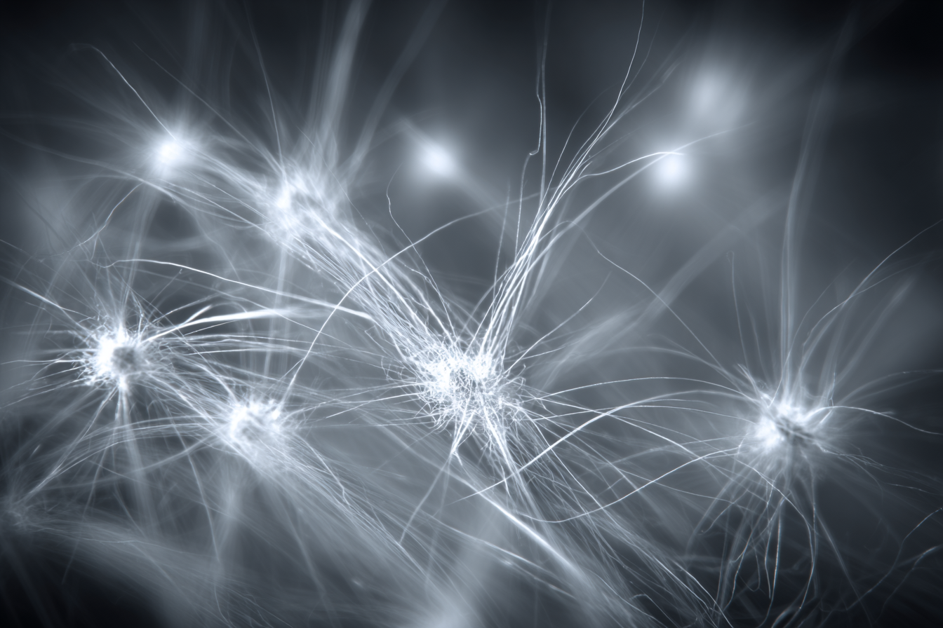 Abstrakte Monochrome Neuronale Netze Lichtspuren Visualisierung | Nahaufnahmen | Natur