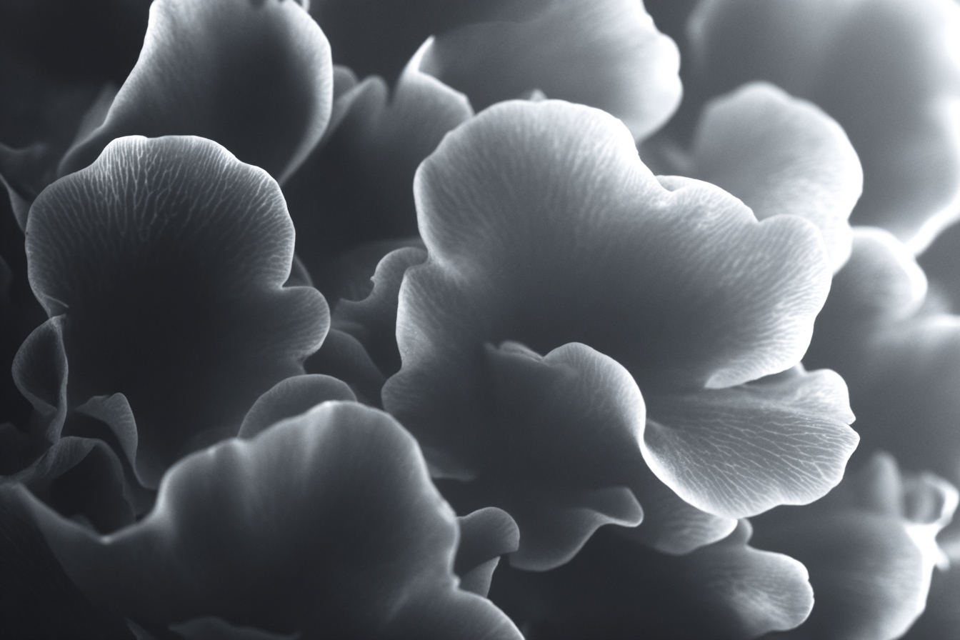 Monochrome Blumenstruktur In Nahaufnahme | Nahaufnahmen | Natur