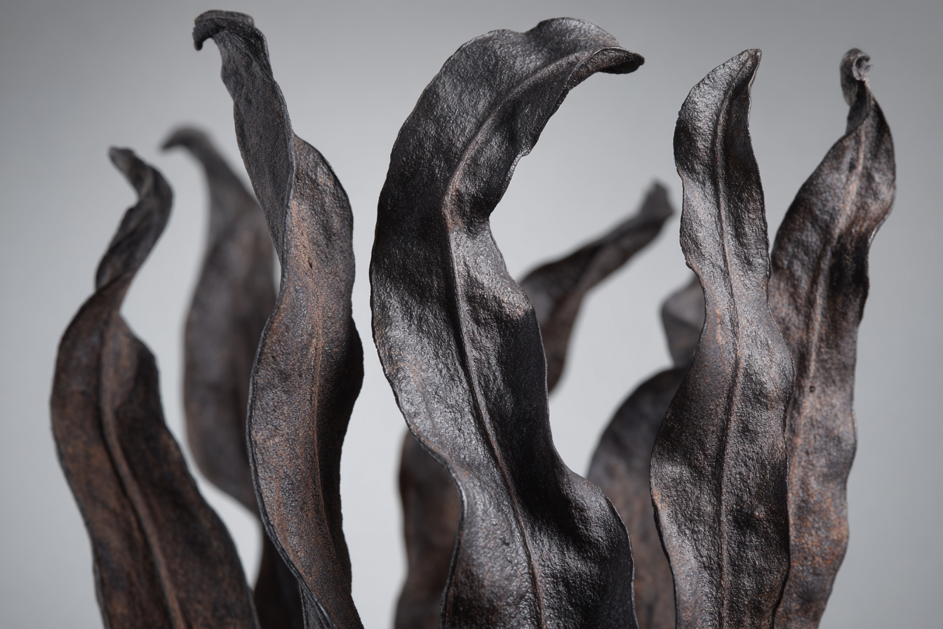 Skulptur Nahaufnahme Organische Wellige Formen Aus Metall | Nahaufnahmen | Natur
