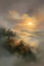 Nebelschleierwald Im Warmen Abendlicht | Nebel und Wetter | Natur