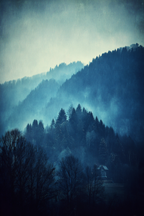 Neblige Landschaft Mit Haus Und Kahlen Bäumen | Nebel und Wetter | Natur