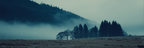 Morgennebel Im Wald | Nebel und Wetter | Natur