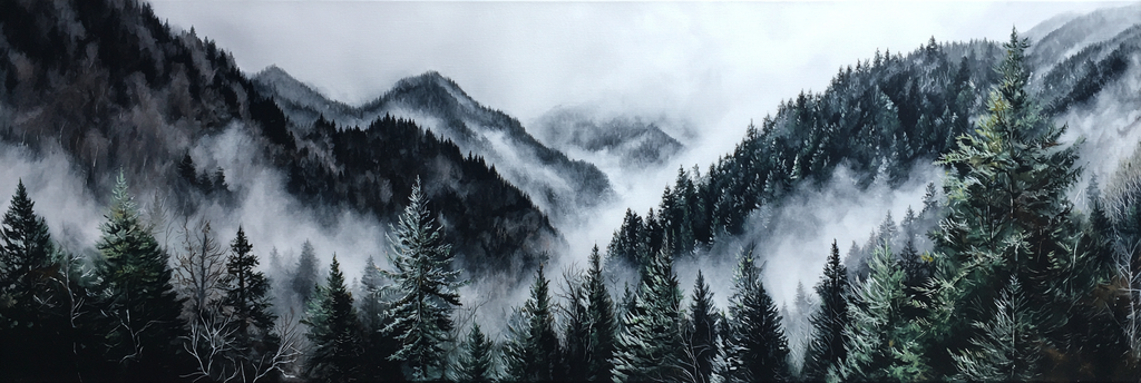 Mystische Berglandschaft Im Nebel Mit Dichten Nadelwäldern | Nebel und Wetter | Natur