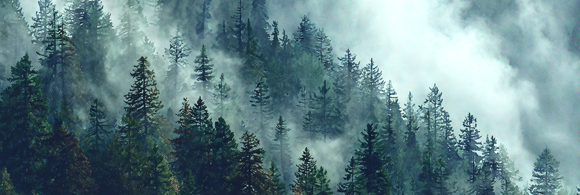 Mystischer Nebel Wald | Nebel und Wetter | Natur