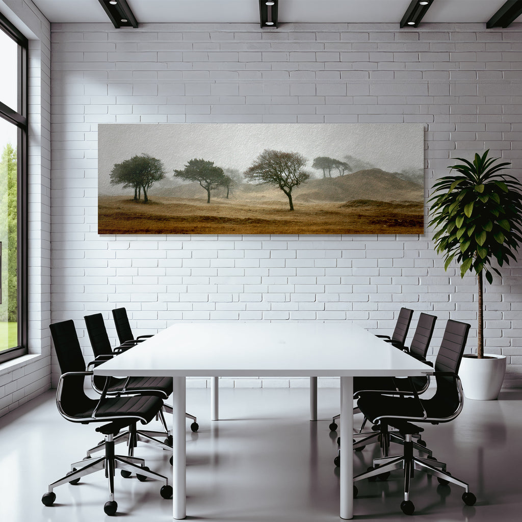 Neblige Landschaft Mit Bäumen Im Feld