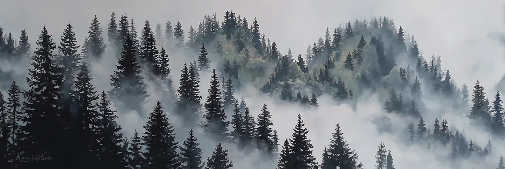 Nebliger Fichtenwald Im Morgennebel | Nebel und Wetter | Natur