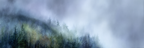 Nebliger Verwunschener Wald | Nebel und Wetter | Natur