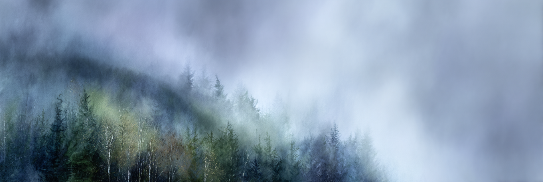 Nebliger Verwunschener Wald | Nebel und Wetter | Natur
