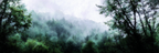 Nebliger Wald Im Aquarell | Nebel und Wetter | Natur