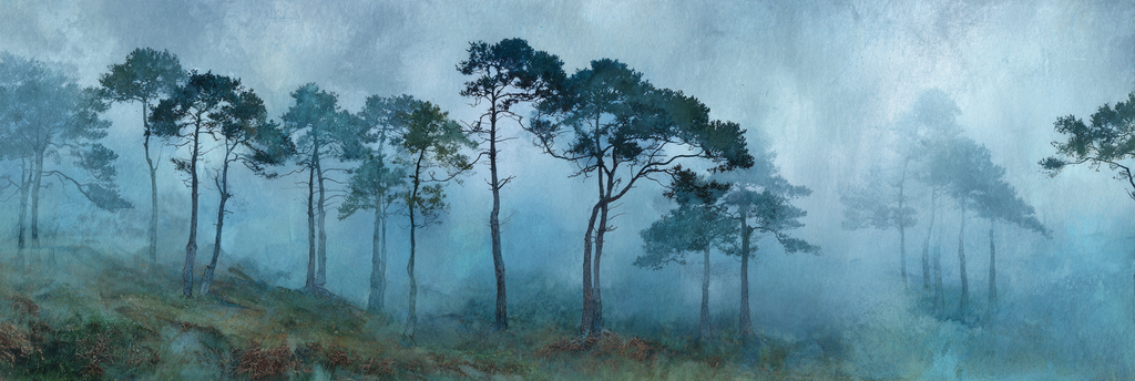 Nebliger Wald Im Blaugrünen Dunst | Nebel und Wetter | Natur