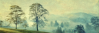 Verträumte Waldlandschaft Im Nebel | Nebel und Wetter | Natur