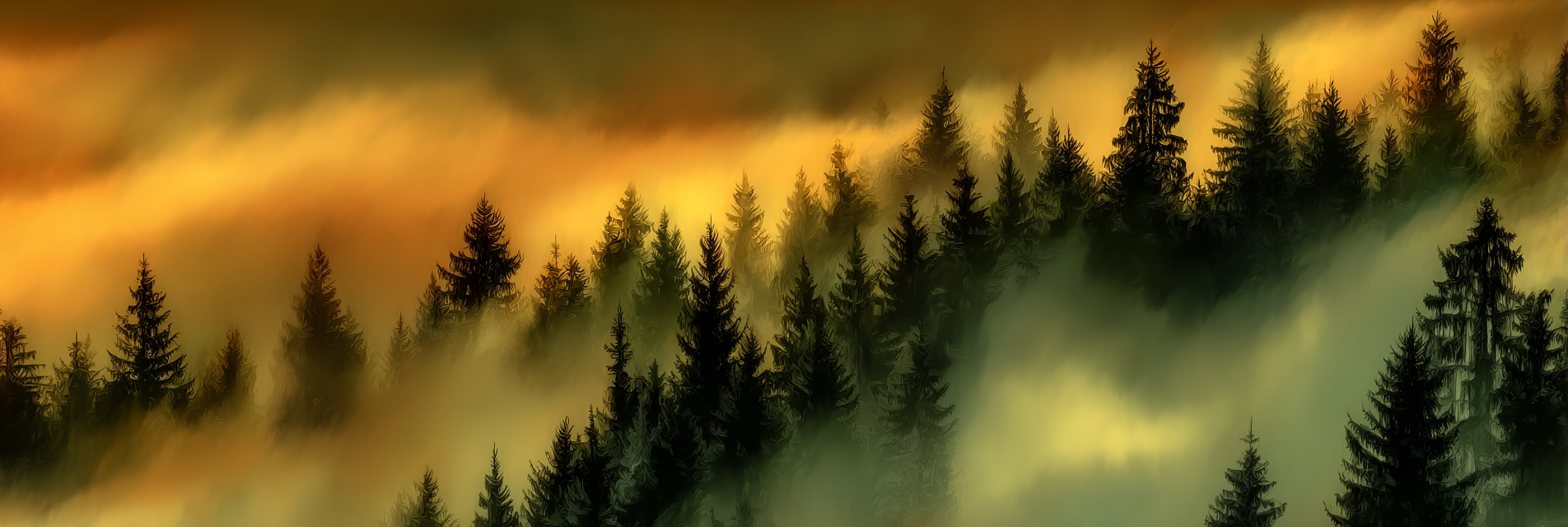 Waldlandschaft Im Nebel Mit Dramatischem Himmel Bei Dämmerung | Nebel und Wetter | Natur
