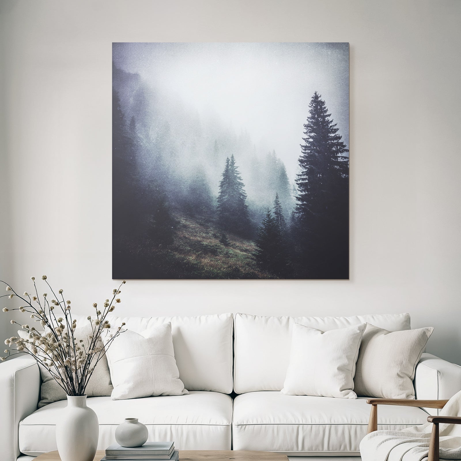 Nebliger Wald Mit Immergrünen Bäumen