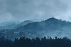 Beruhigende Nebelige Hügellandschaft | Nebel und Wetter | Natur