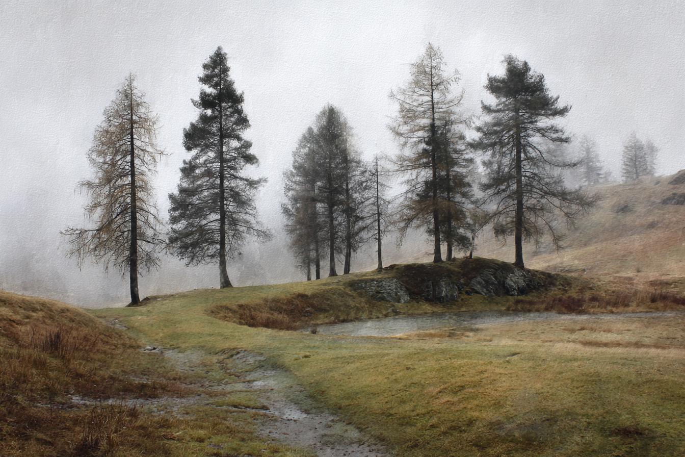 Nebelige Waldlandschaft Am Wasser | Nebel und Wetter | Natur