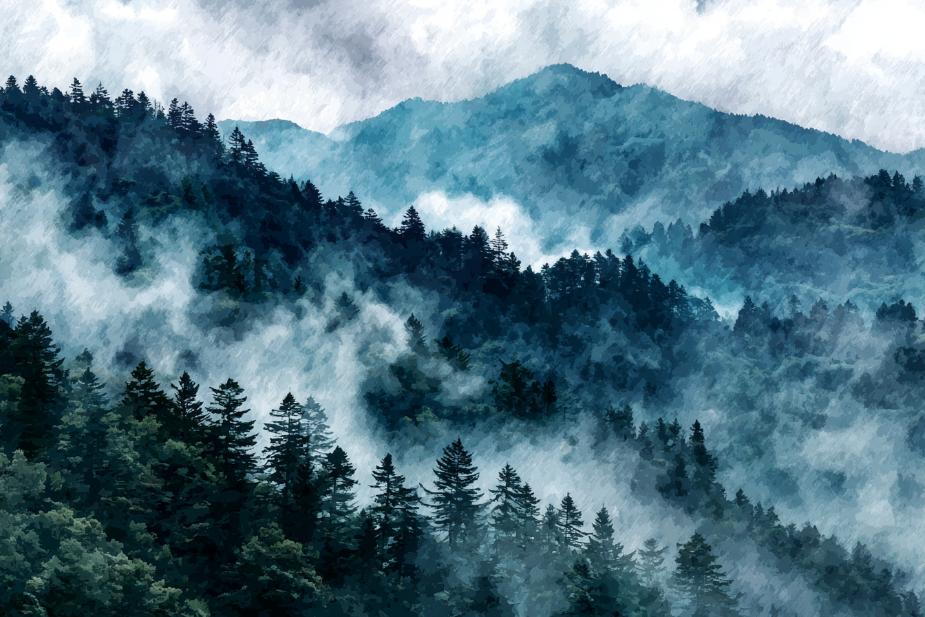 Neblige Berglandschaft Mit Wald Im Dunst | Nebel und Wetter | Natur