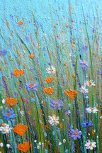 Buntes Bild Von Wildblumen Im Feld | Wasserfaelle und Tropfen | Natur
