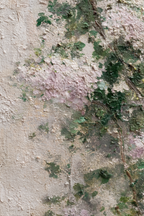 Naheaufnahme Texturierte Oberfläche Mit Grünen Und Rosa Farbtupfern | Wasserfaelle und Tropfen | Natur