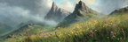 Berglandschaft Mit Bunten Wildblumen Und Wolkenhimmel | Wasserfaelle und Tropfen | Natur