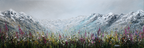 Schneebedeckte Berge Und Bunte Blumenwiese | Wasserfaelle und Tropfen | Natur