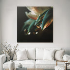Blumenblätter Mit Wassertropfen Auf Dunklem Hintergrund