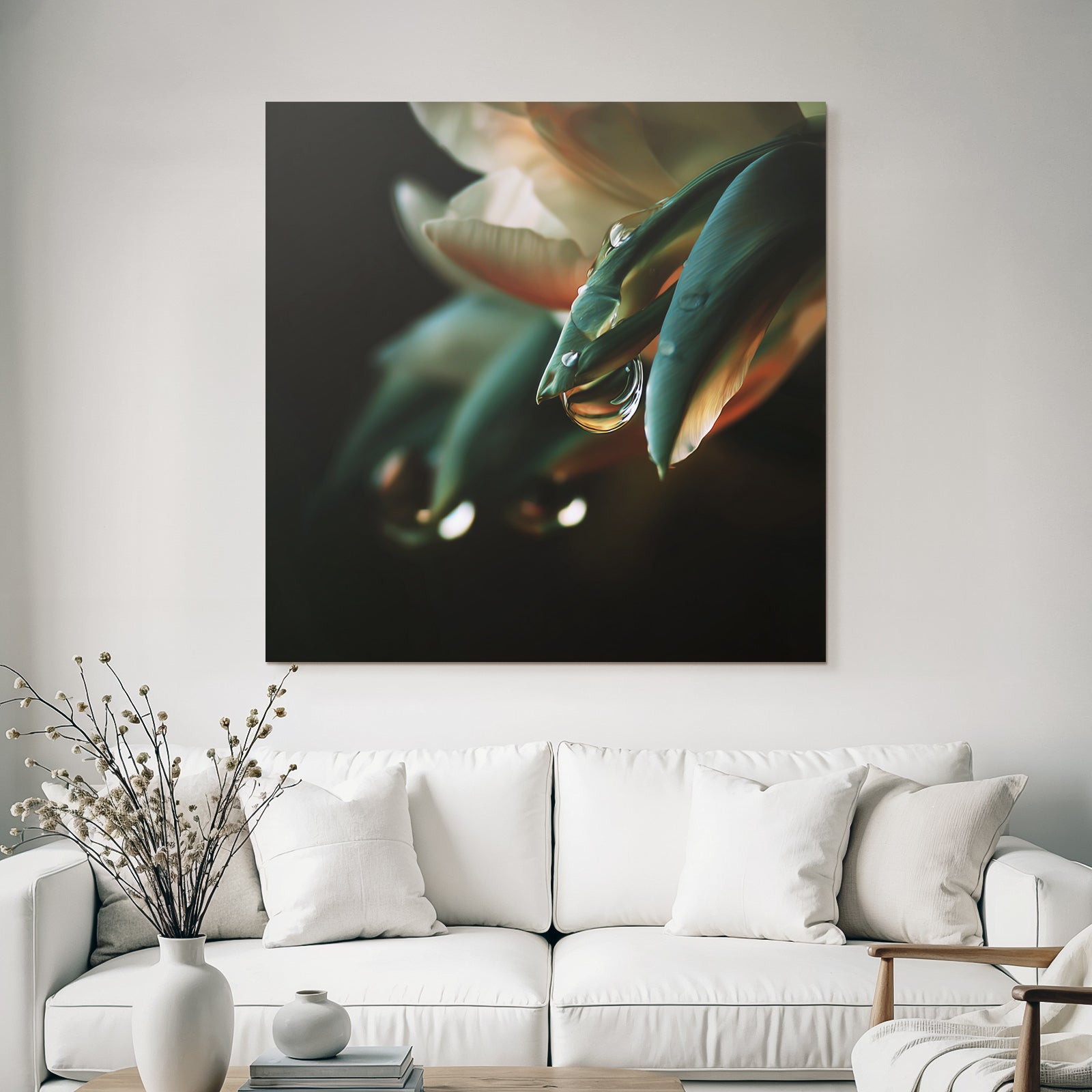 Blumenblätter Mit Wassertropfen Auf Dunklem Hintergrund