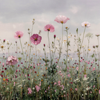 Blumenwiese Mit Pinken Und Weissen Blüten | Wasserfaelle und Tropfen | Natur