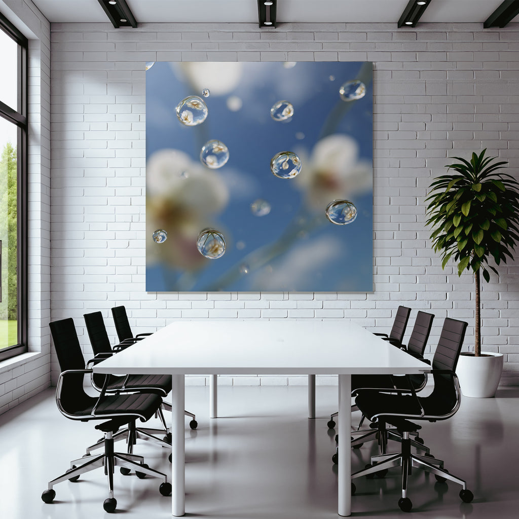 Wassertropfen An Blumen Unter Blaüm Himmel