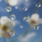 Wassertropfen An Blumen Unter Blaüm Himmel | Wasserfaelle und Tropfen | Natur