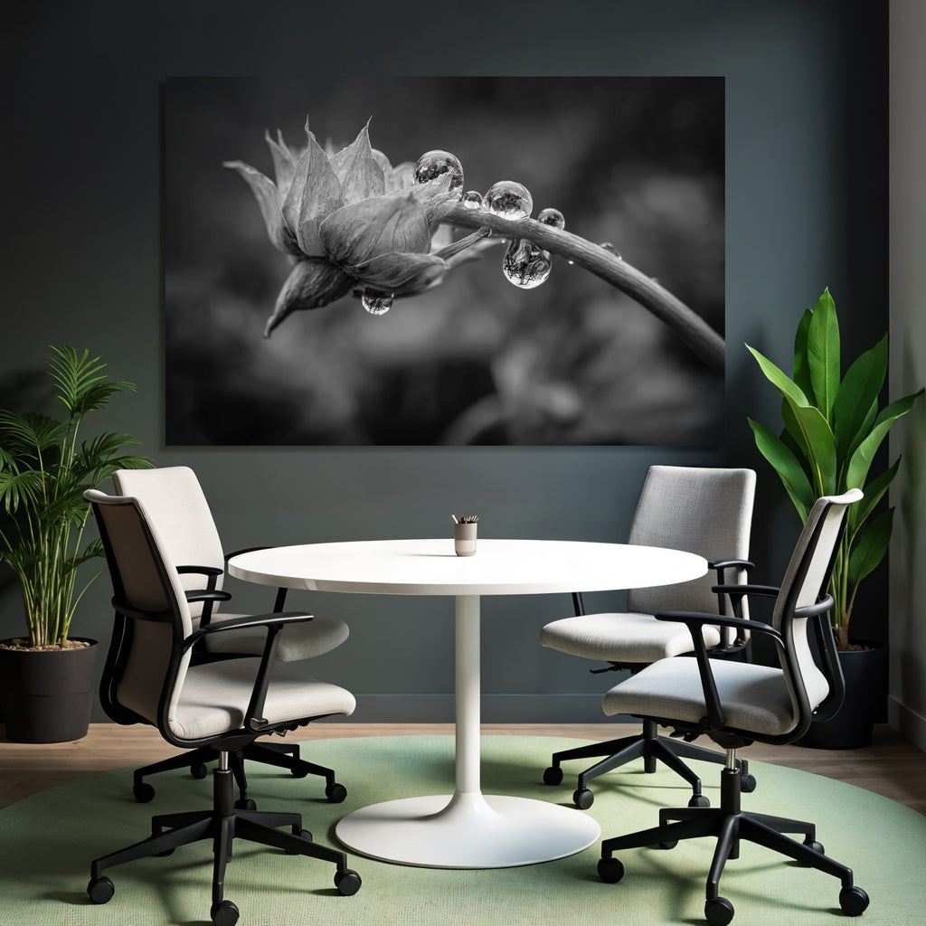 Blumenknospe Mit Tautropfen