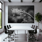 Blumenknospe Mit Tautropfen