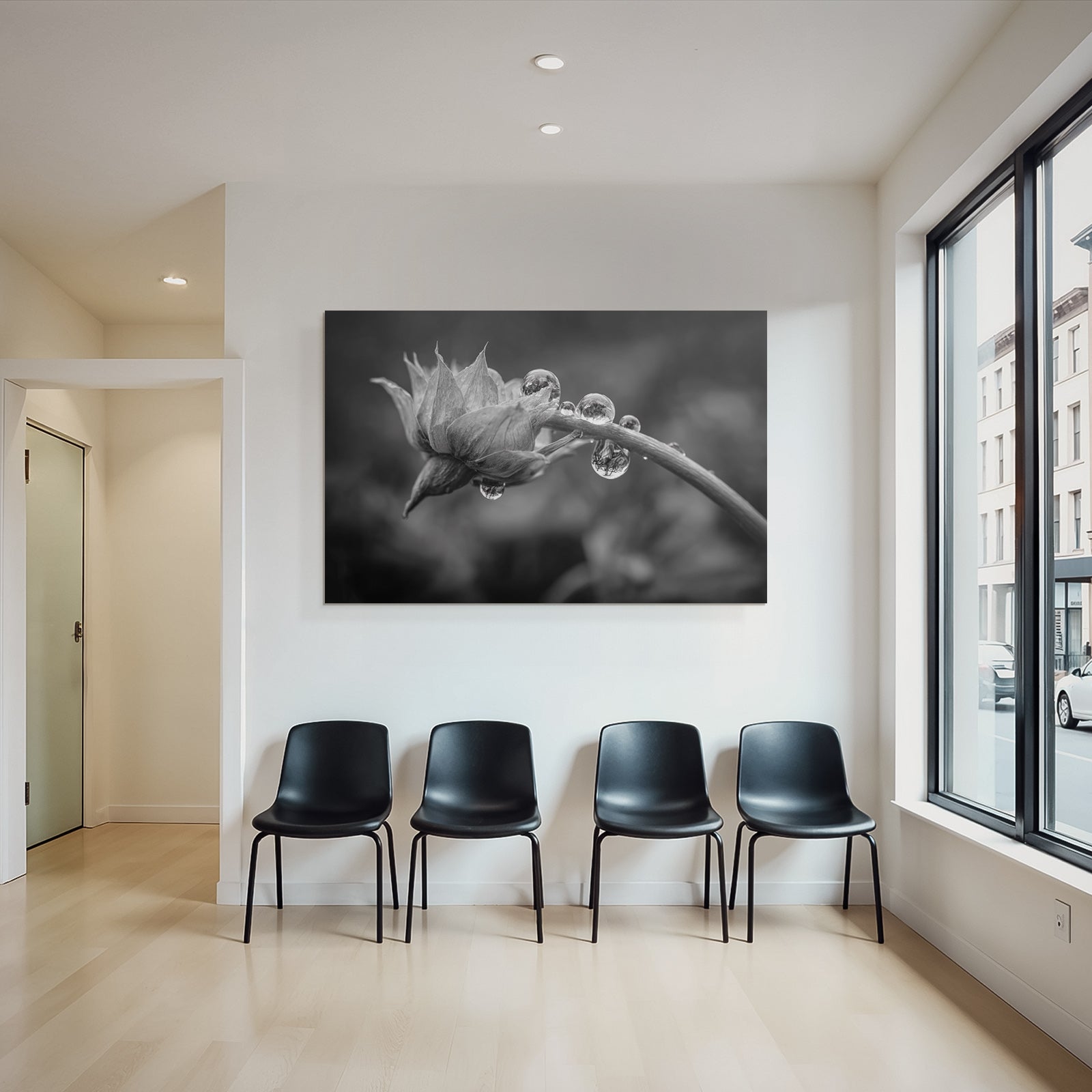 Blumenknospe Mit Tautropfen